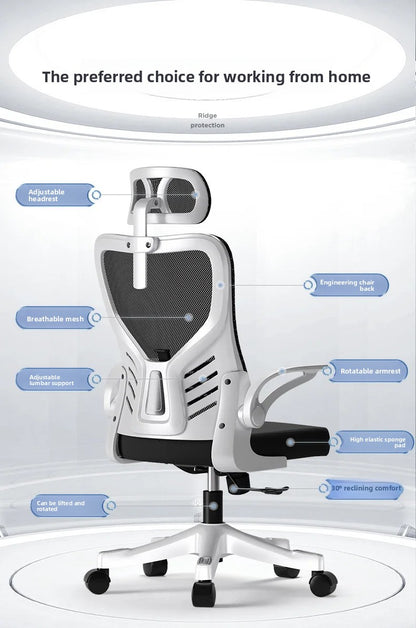 Office chairComputer  Office  Ergonomic  Office Sedentary Learning  Mahjong  Conference  Dormitory
