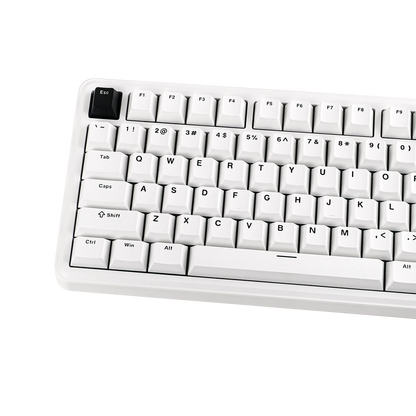 EPOMAKER TH85 80% QWERTY ANSI Layout VIA Gasket Hot-Swap Wired/2.4Ghz/BT5.0 Wireless Mechanical Keyboard for Office/Gaming