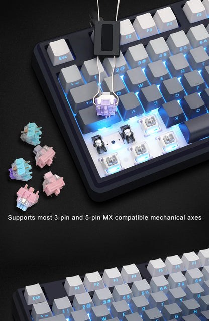 SKYLOONG GK104 Pro Wireless Mechanical Keyboard 100% Custom Keyboard Hot-Swapp Low-noise Switch for PC Gamer office Accessoies