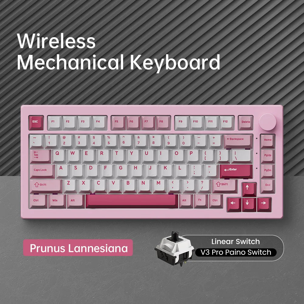 Akko 5075 V3 75% Mechanical Keyboard 8000/10000mAh 2.4GHz Wireless/Wired Type-C/BT 5.0 Hot Swap RGB Gasket for Gaming Typing