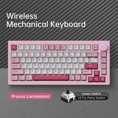 Akko 5075 V3 75% Mechanical Keyboard 8000/10000mAh 2.4GHz Wireless/Wired Type-C/BT 5.0 Hot Swap RGB Gasket for Gaming Typing