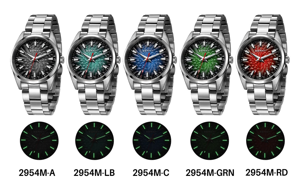 Montre pour homme BERNY – Montre à quartz, verre saphir, aiguilles luminescentes, étanche 10 ATM, entièrement en acier inoxydable – Style élégant et décontracté, idéale pour le quotidien ou les occasions professio