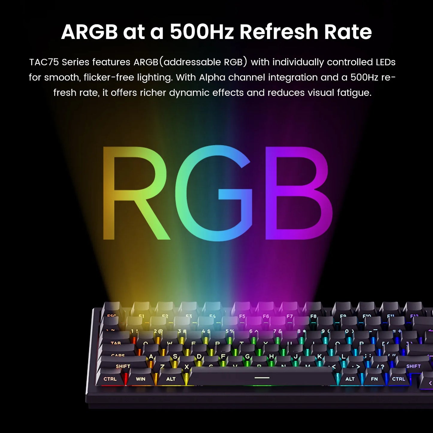 Teclado AKKO TAC75 HE con interruptores magnéticos, teclado gaming 75%, Rapid Trigger 0.005mm, 8K RGB, con cable, teclado personalizado para esports para gamers