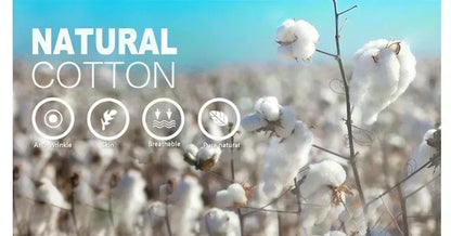 Dragon Ball Anime Broli Printed Double-layer Shorts 2026 Unisex Summer New Quick Drying Breathable Sports and Fitness Shorts