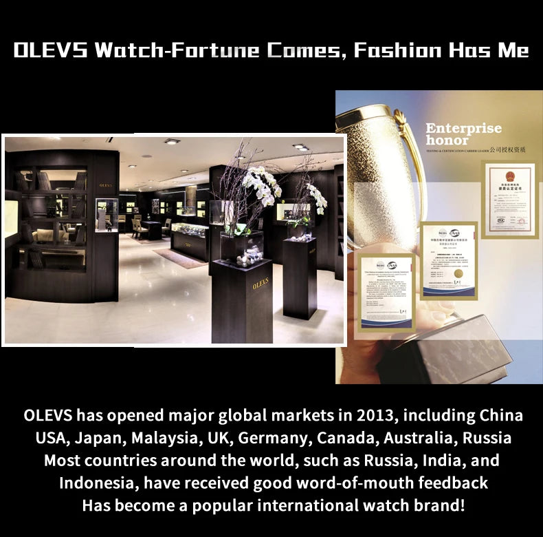 OLEVS 6685 Men's Watches Mechanical Wristwatch 30m Waterproof Luminous Leather Strap Original Man Watch