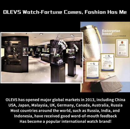 OLEVS 6685 Men's Watches Mechanical Wristwatch 30m Waterproof Luminous Leather Strap Original Man Watch