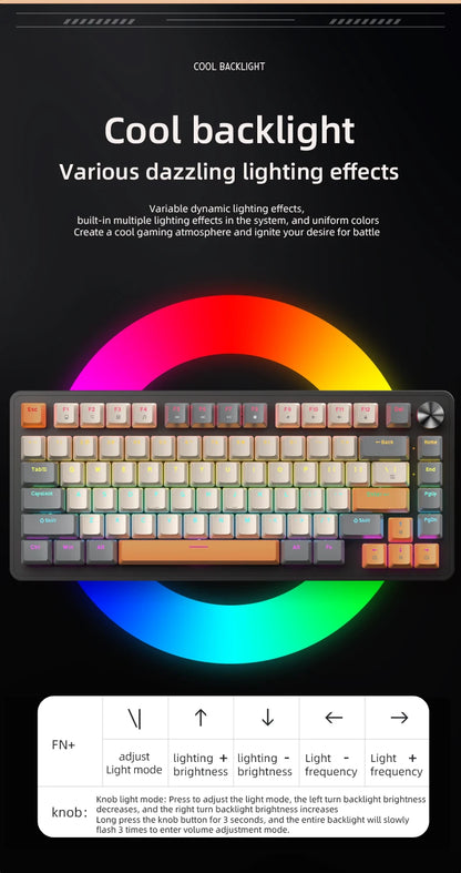 75% Mechanical Keyboard Wired with Media Knob, APAYADO Black Gaming Keyboard,Hot-Swap,ABS Cap Transparent Character Backlighting