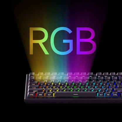 Teclado AKKO TAC75 HE con interruptores magnéticos, teclado gaming 75%, Rapid Trigger 0.005mm, 8K RGB, con cable, teclado personalizado para esports para gamers