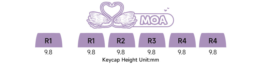 Akko MonsGeek MG108B Bun Wonderland Wireless Mechanical Keyboard MOG Profile RGB 108 Keys Full Size Hot Swap USB / 2.4G / BT 5.0